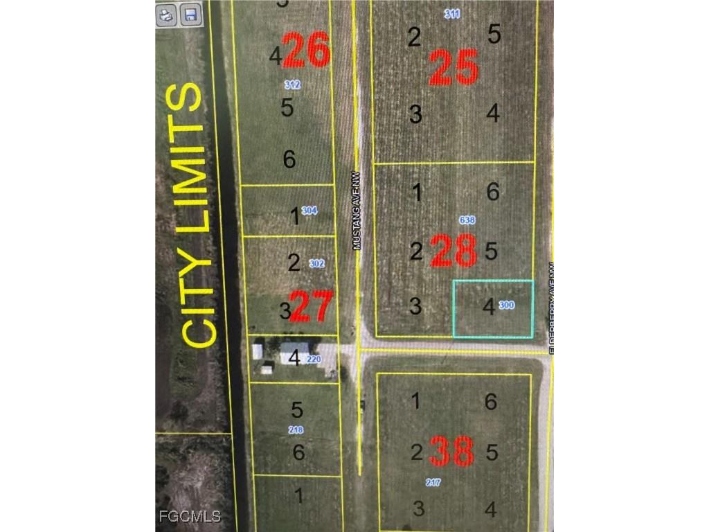 300 Elderberry Avenue NW Moore Haven FL 33471 2025000671 image3