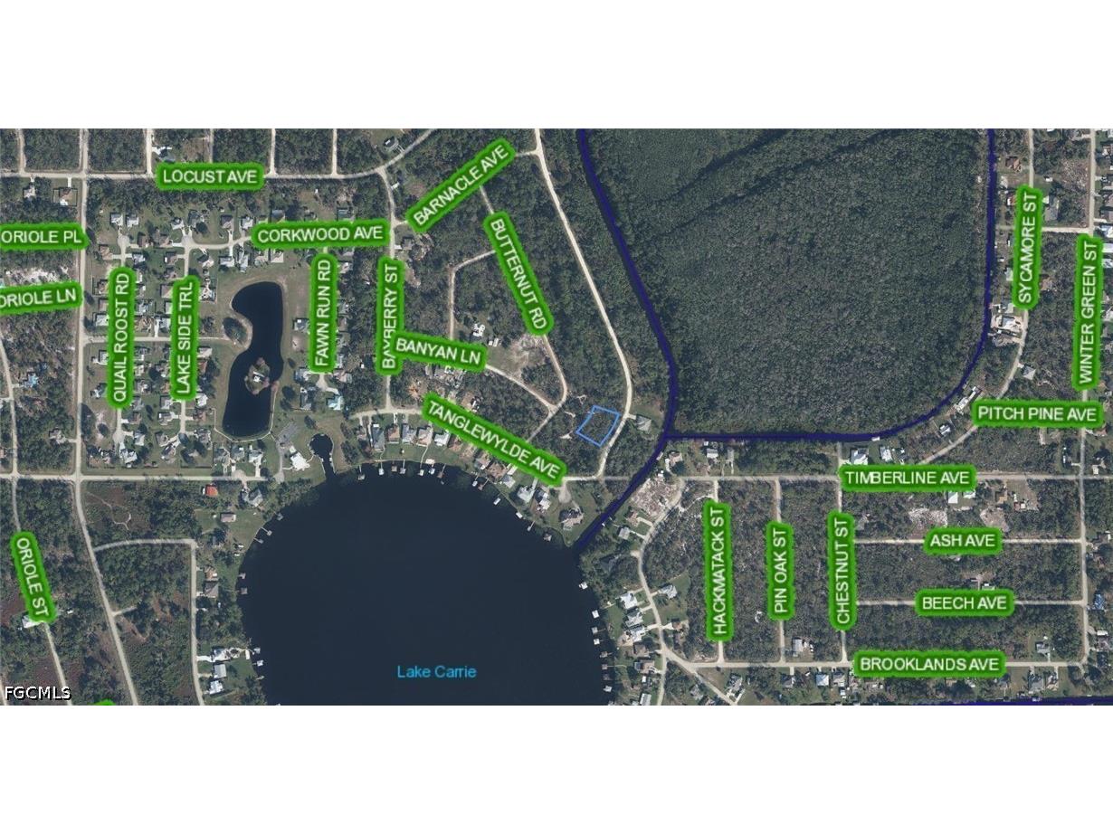 300 Rainbow Drive Lake Placid FL 33852 2026024714 image3