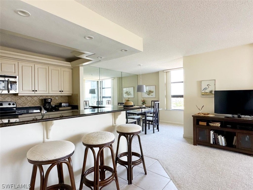 300 S Collier Boulevard #1002 Marco Island FL 34145 226011303 image6