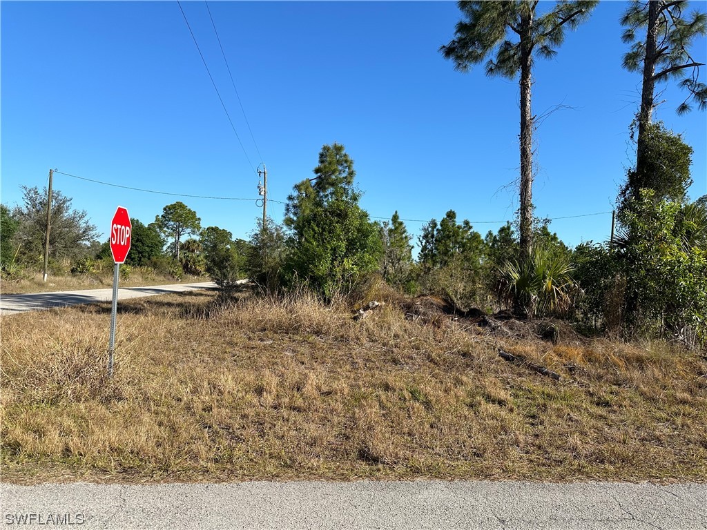 3001 E 11th Street Lehigh Acres FL 33972 224018648 image1