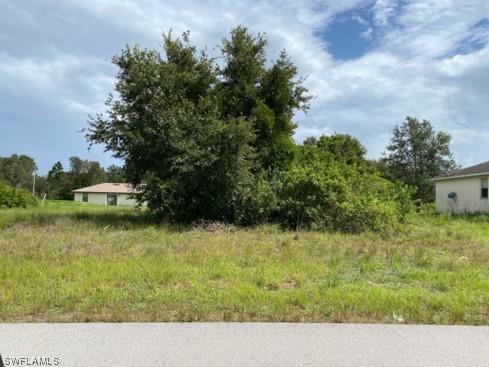 3002 45th Street W Lehigh Acres FL 33971 223076307 image1