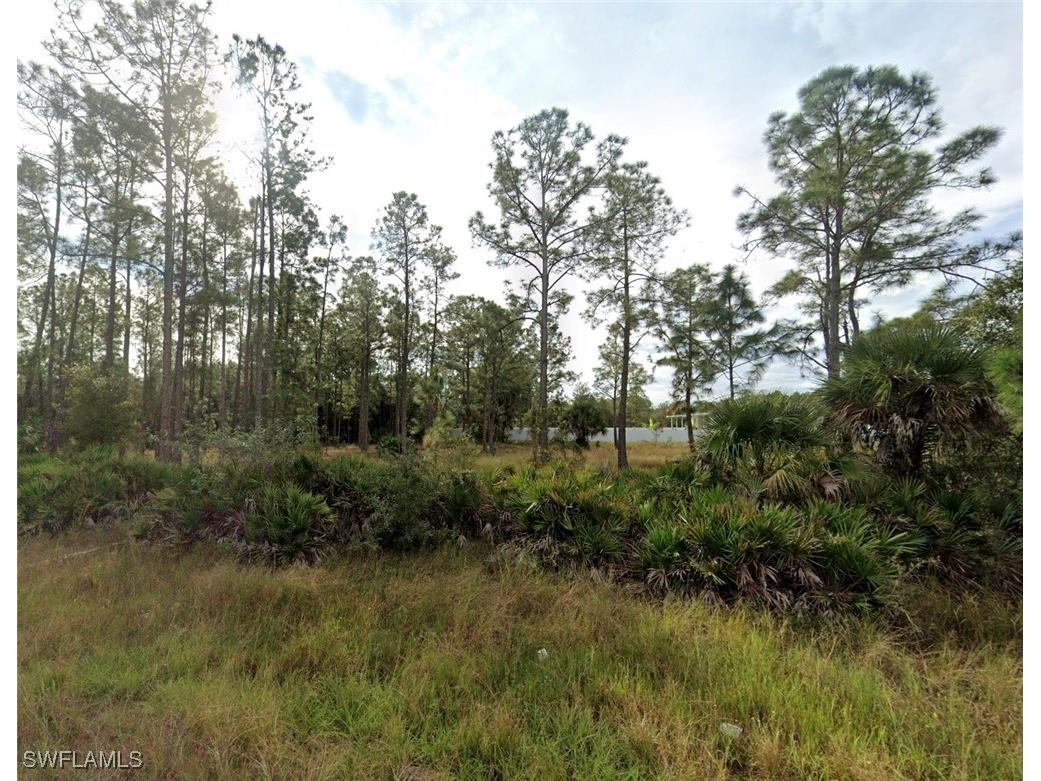 3002 E 14th Street Lehigh Acres FL 33972 225084784 image1