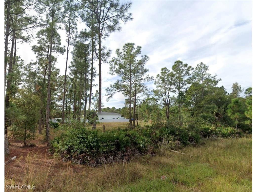 3002 E 14th Street Lehigh Acres FL 33972 225084784 image2