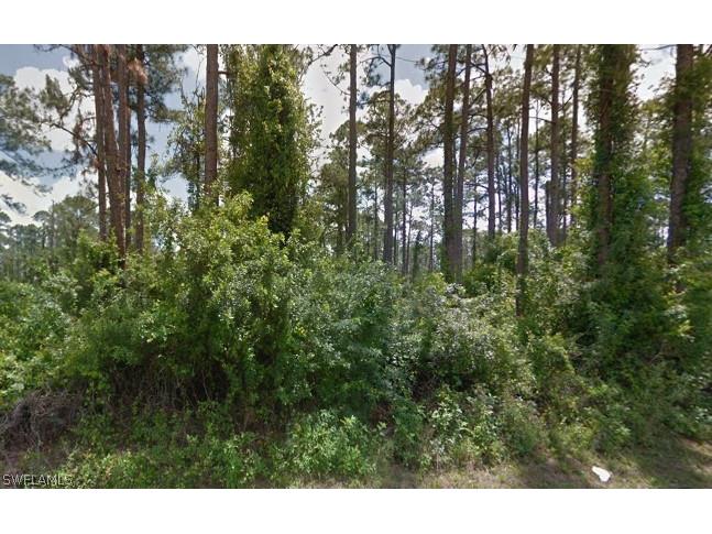 3002 E 21st Street Alva FL 33920 223009737 image1