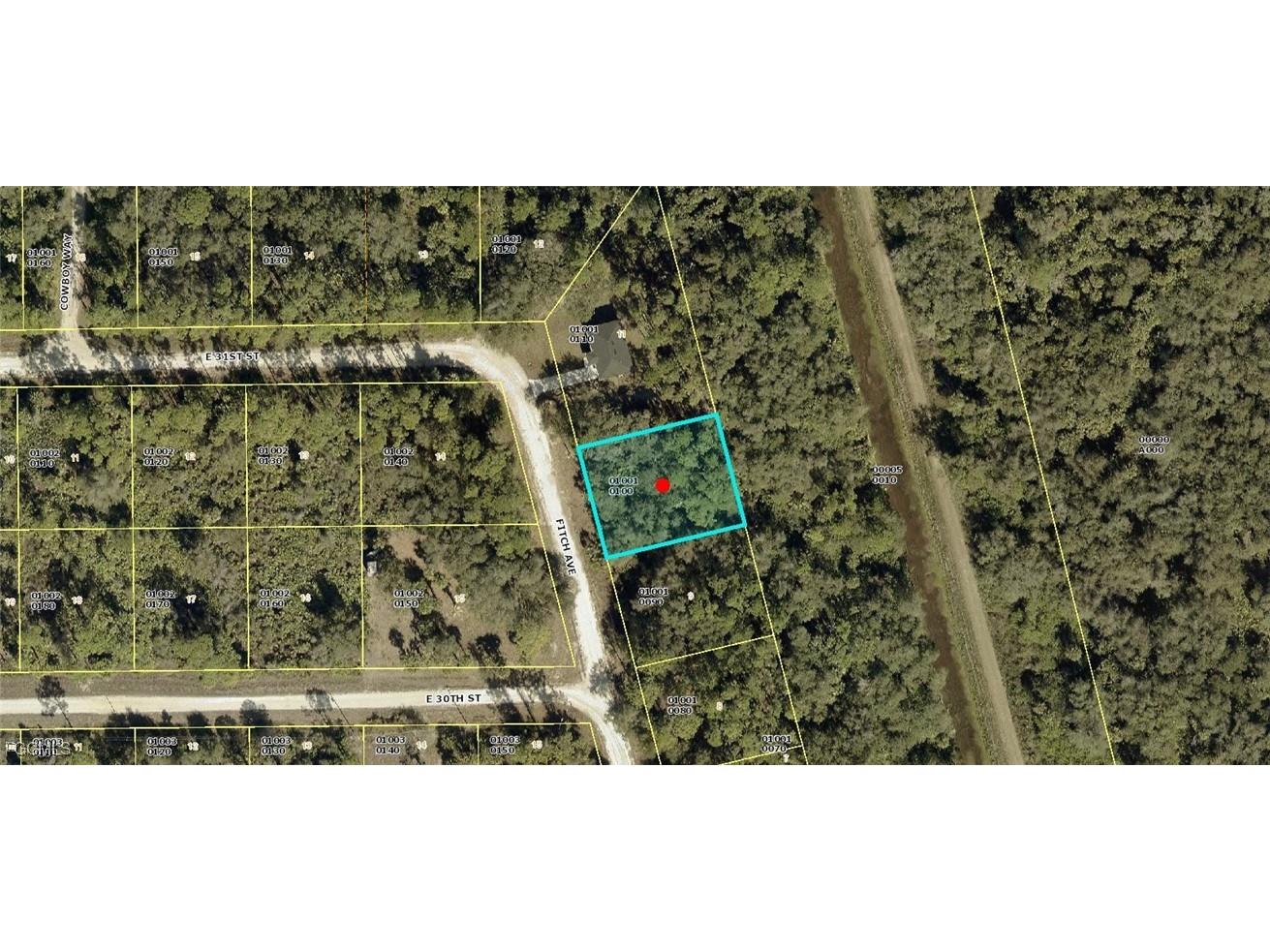 3002 Fitch Avenue Alva FL 33920 2025015356 image1