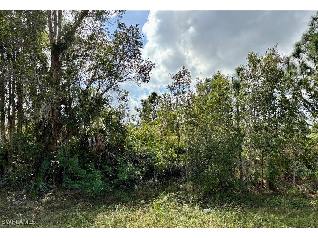 3003 37th Street W Lehigh Acres FL 33971 224102871 image1