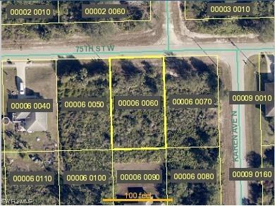 3003 75th Street W Lehigh Acres FL 33971 223063422 image1