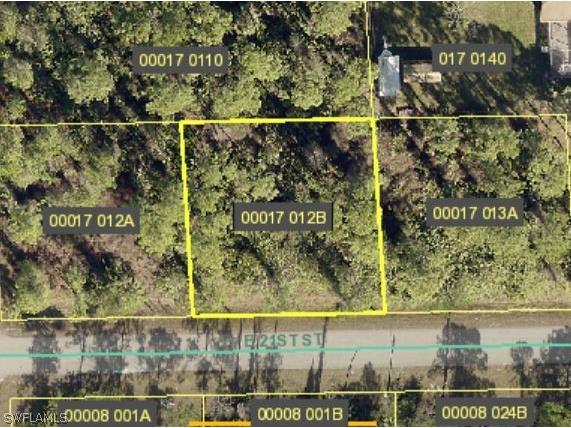 3003 E 21st Street Alva FL 33920 222076824 image1