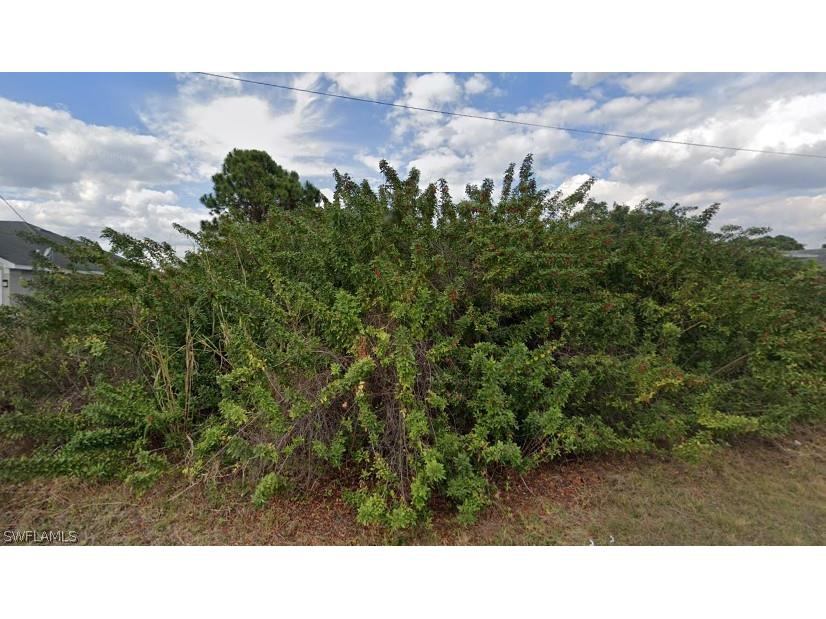 3004 19th Street W Lehigh Acres FL 33971 224033278 image1