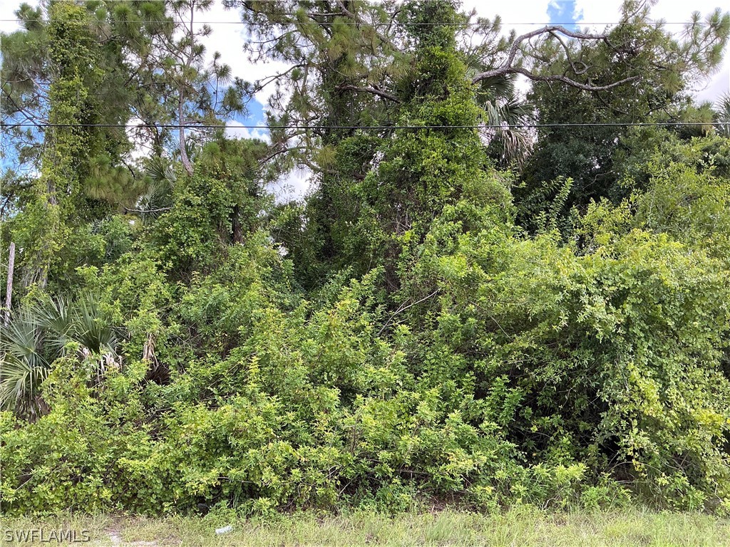 3005 16th Street W Lehigh Acres FL 33971 224059219 image1