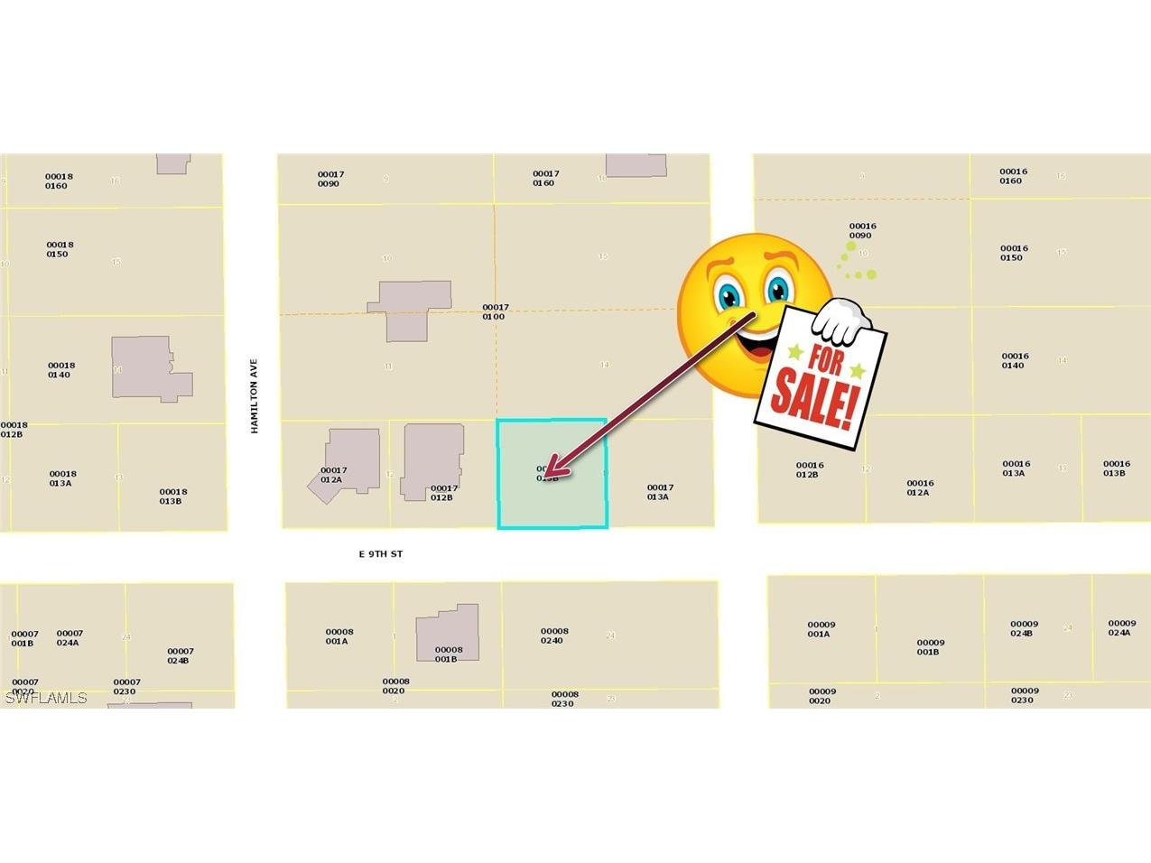 3005 E 9th Street Lehigh Acres FL 33972 223018041 image1