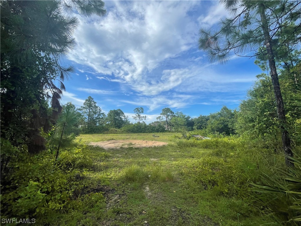 3006 16th Street W Lehigh Acres FL 33971 223072467 image1