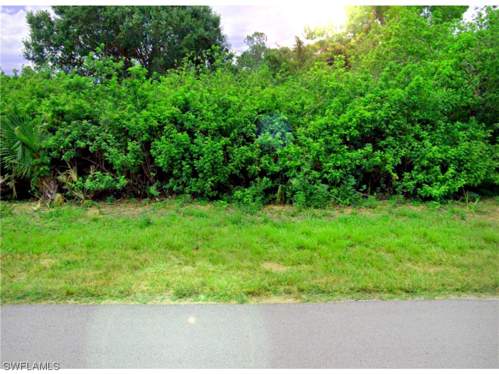 3006 19th Street W Lehigh Acres FL 33971 224014050 image1