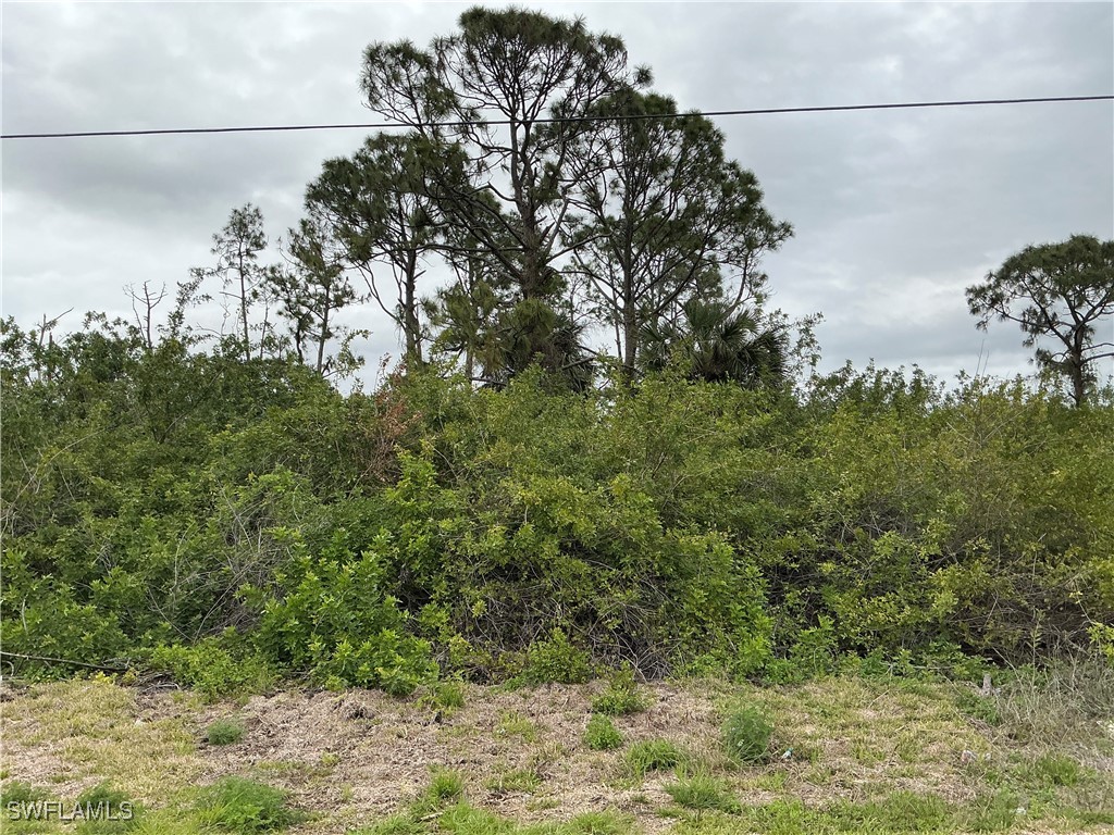 3006 38th Street SW Lehigh Acres FL 33976 225029238 image1