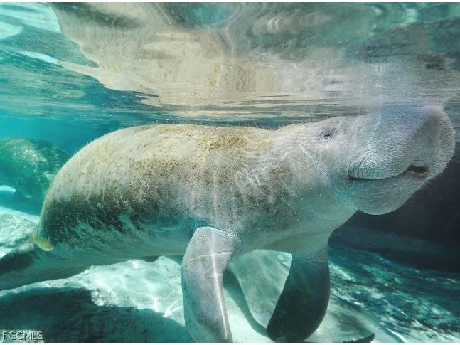 3007 49th Street SW Lehigh Acres FL 33976 2026007782 image25