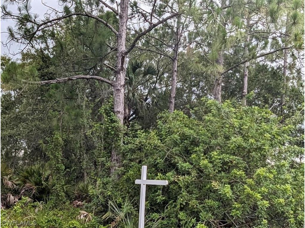 3007 49th Street W Lehigh Acres FL 33971 223040396 image1