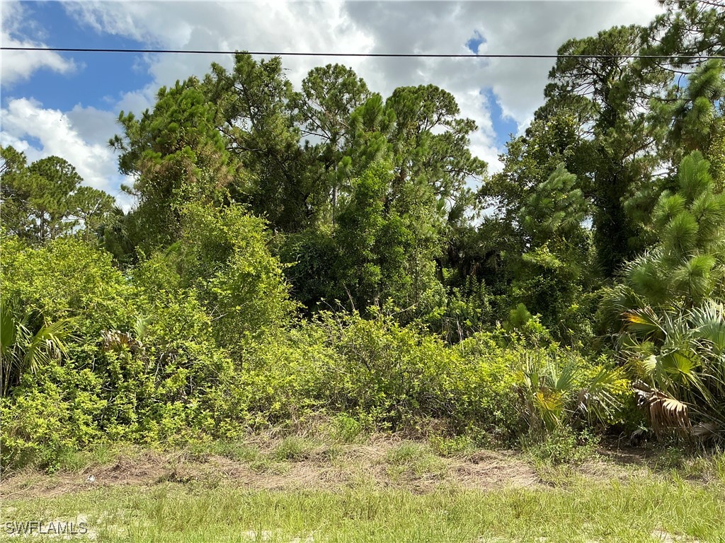 3008 14th Street SW Lehigh Acres FL 33976 225022669 image1