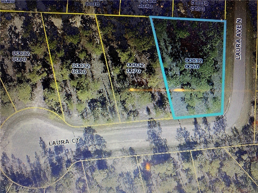 3008 Laura Court Lehigh Acres FL 33971 222011705 image1