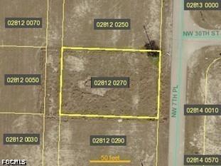 3008 NW 7th Place Cape Coral FL 33993 2026021717 image1