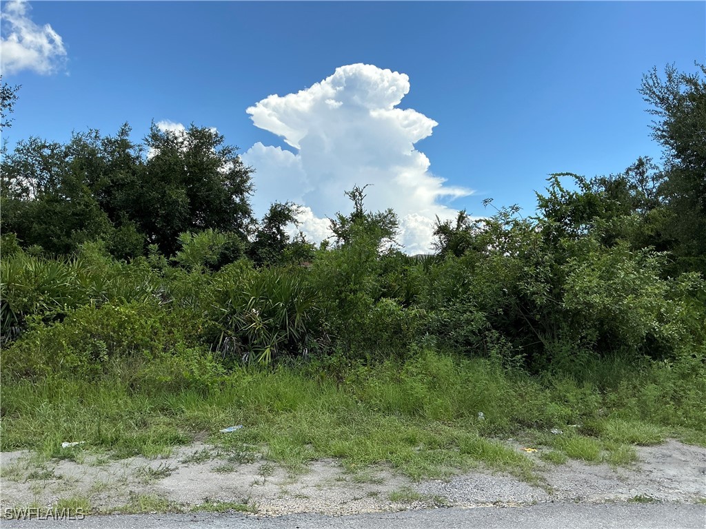 3009 29th Street SW Lehigh Acres FL 33976 224063785 image1