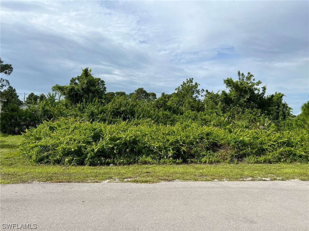 3009 9th Street W Lehigh Acres FL 33971 223059423 image1