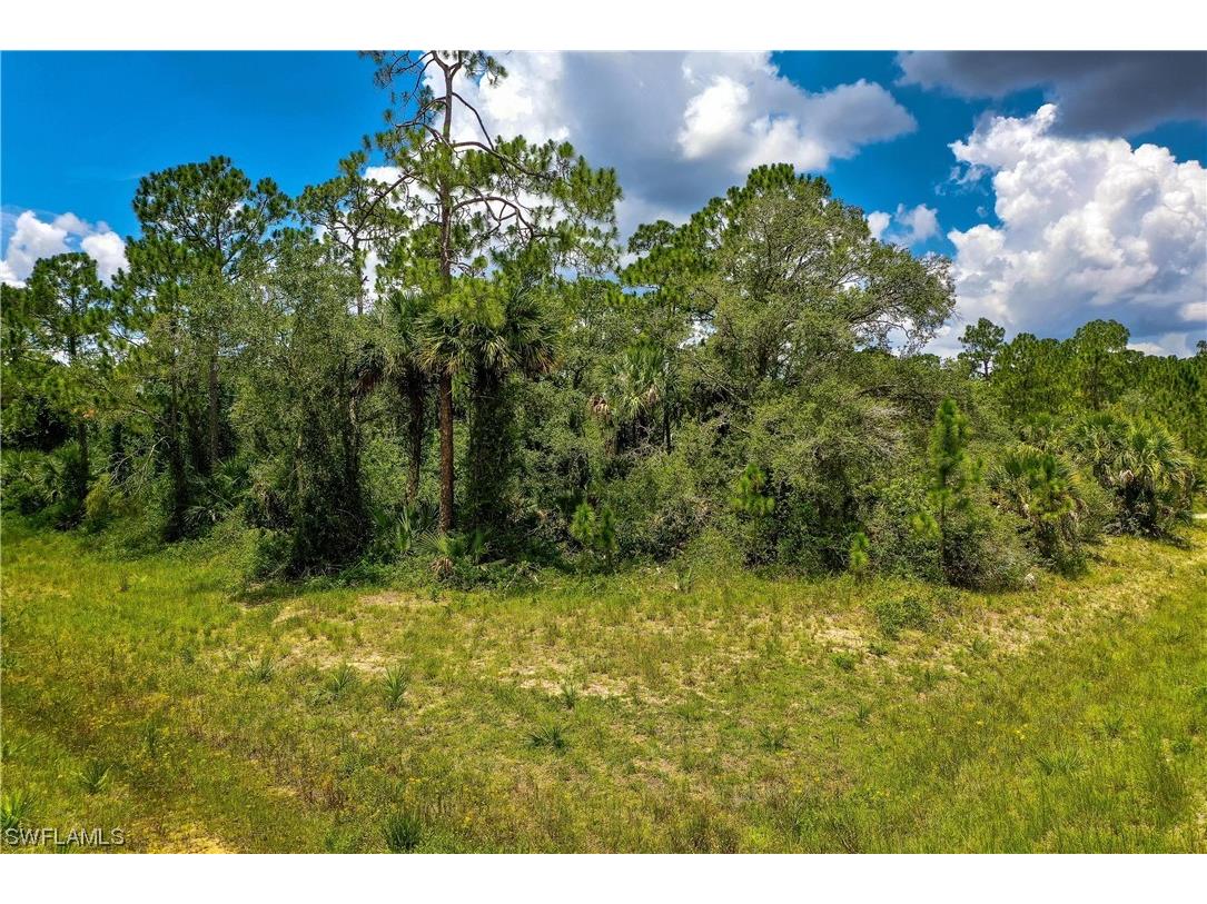 301 Charles Duke Place Labelle FL 33935 223043117 image1