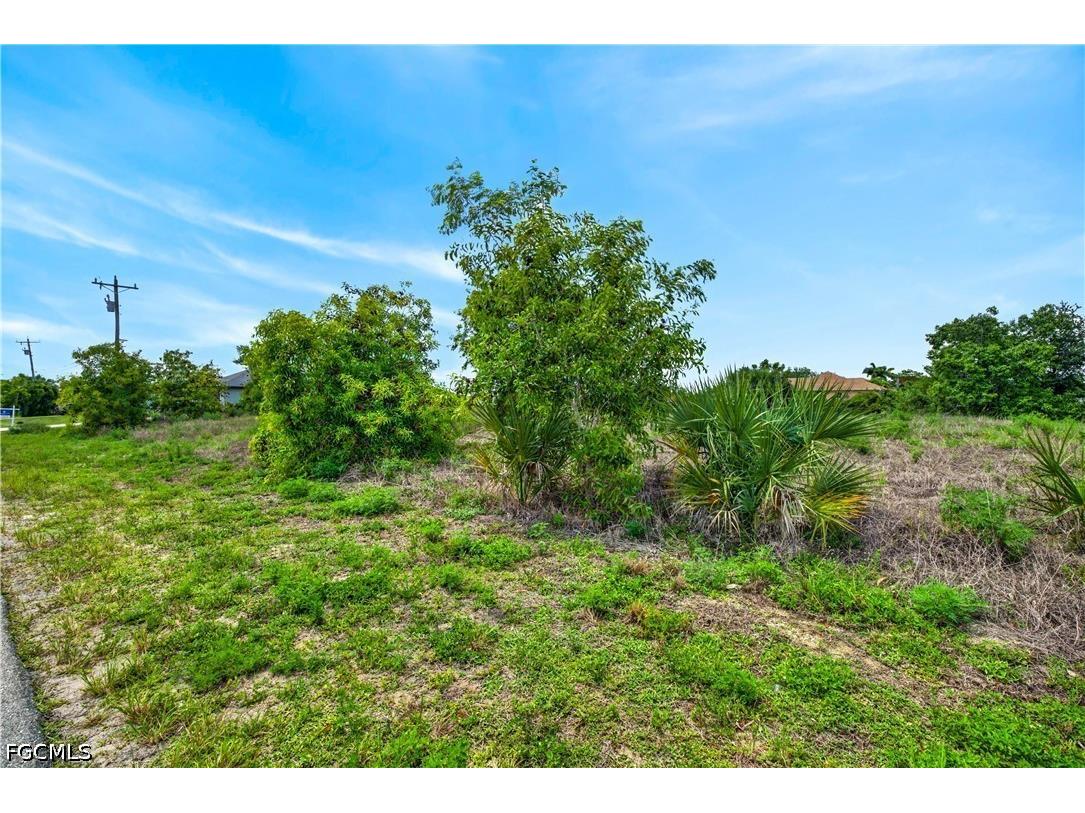 301 NW 5th Terrace Cape Coral FL 33993 2026024156 image12