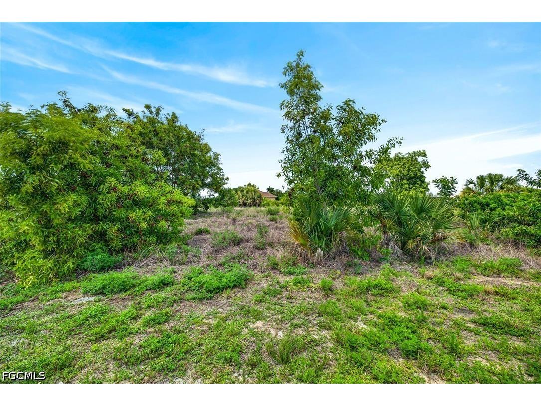 301 NW 5th Terrace Cape Coral FL 33993 2026024156 image13