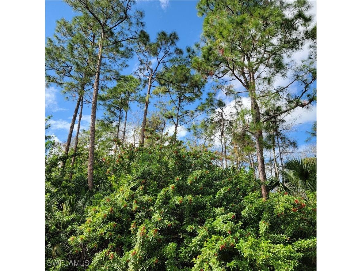 3011 2nd Street NE Naples FL 34120 225045013 image16