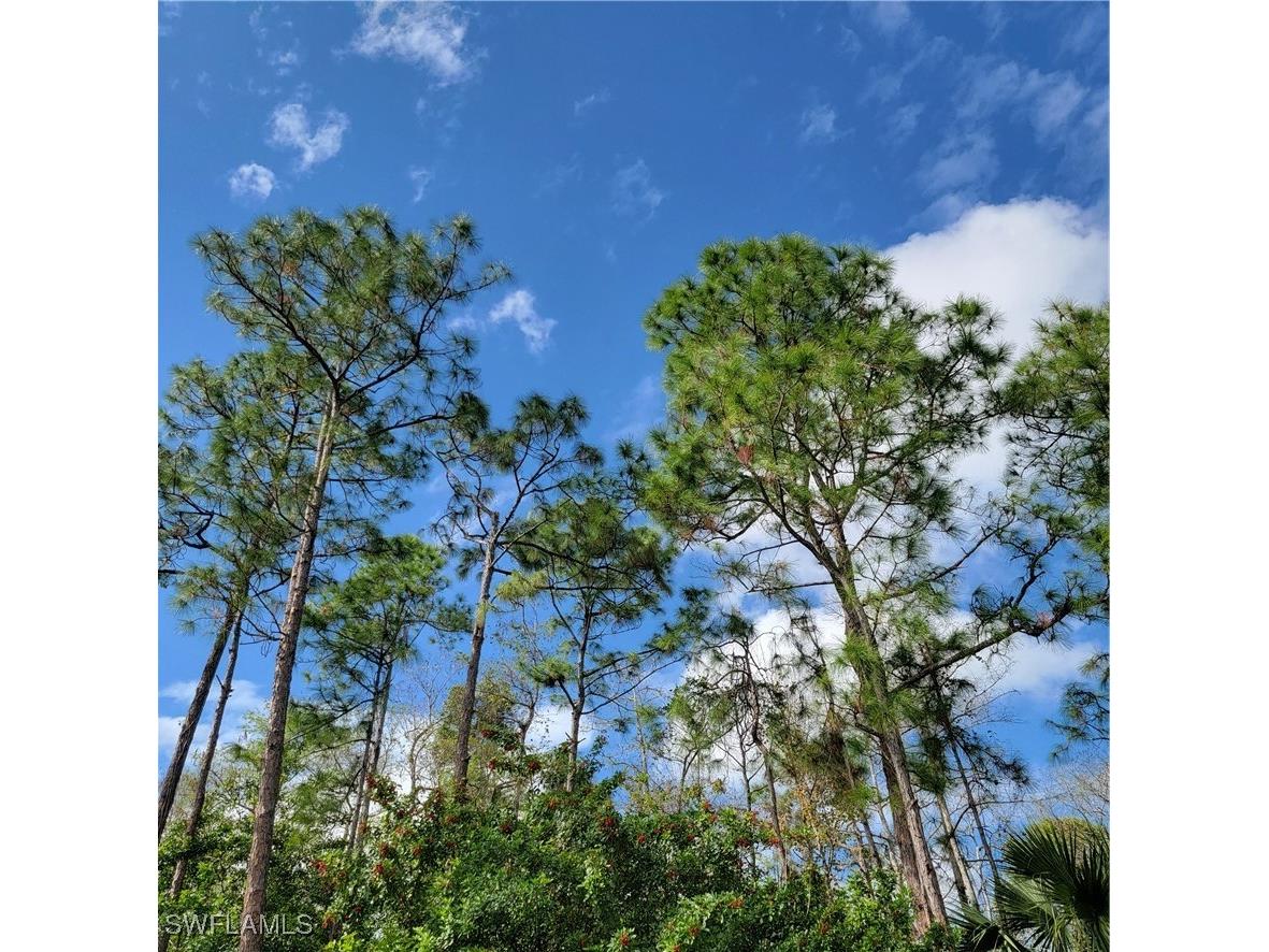 3011 2nd Street NE Naples FL 34120 225045013 image2