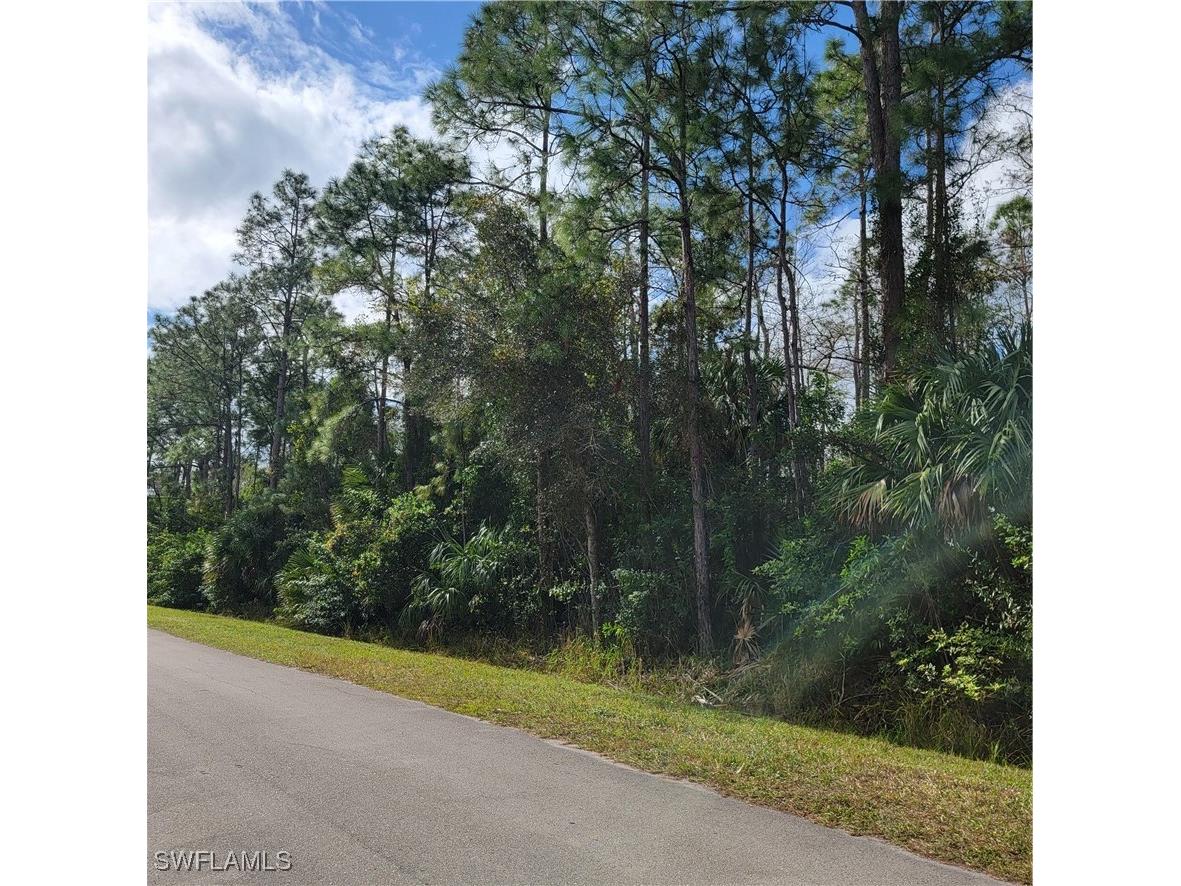 3011 2nd Street NE Naples FL 34120 225045013 image9