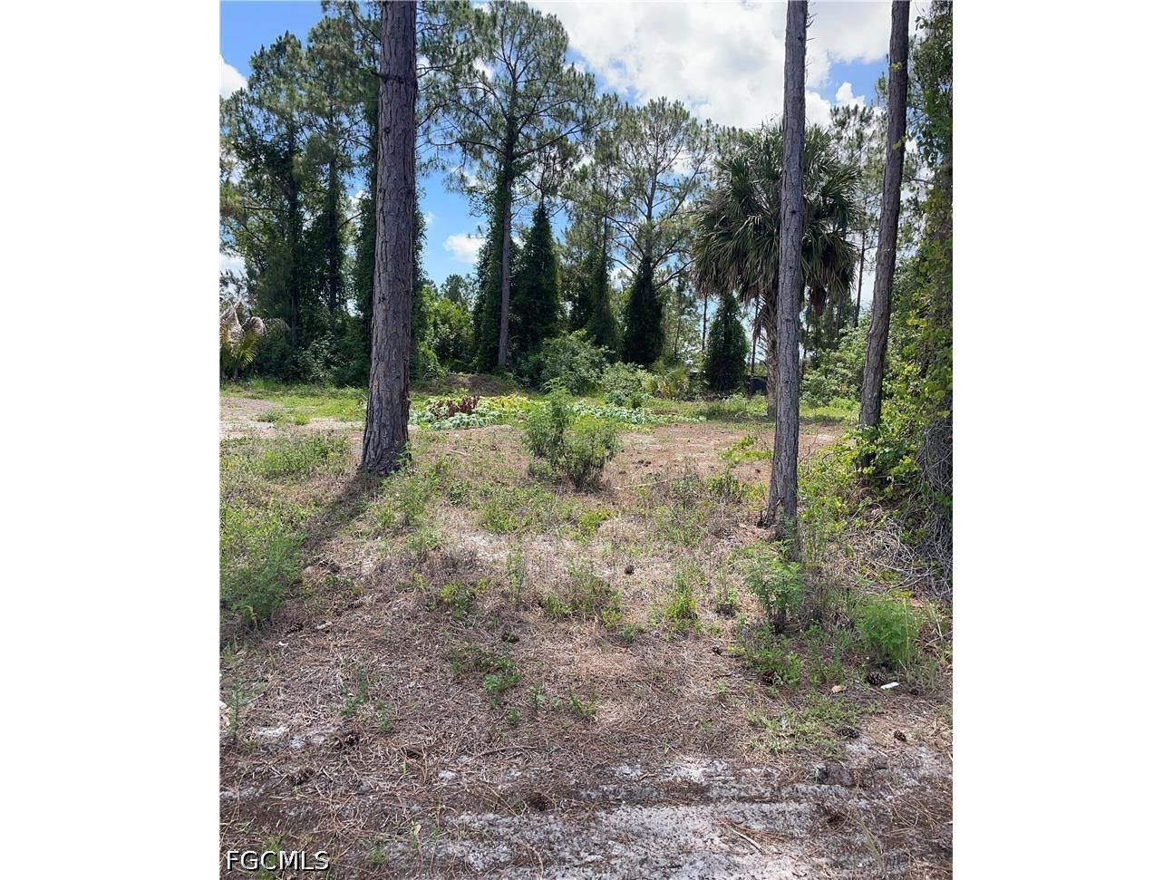 3011 33rd Street SW Lehigh Acres FL 33976 2026023669 image5