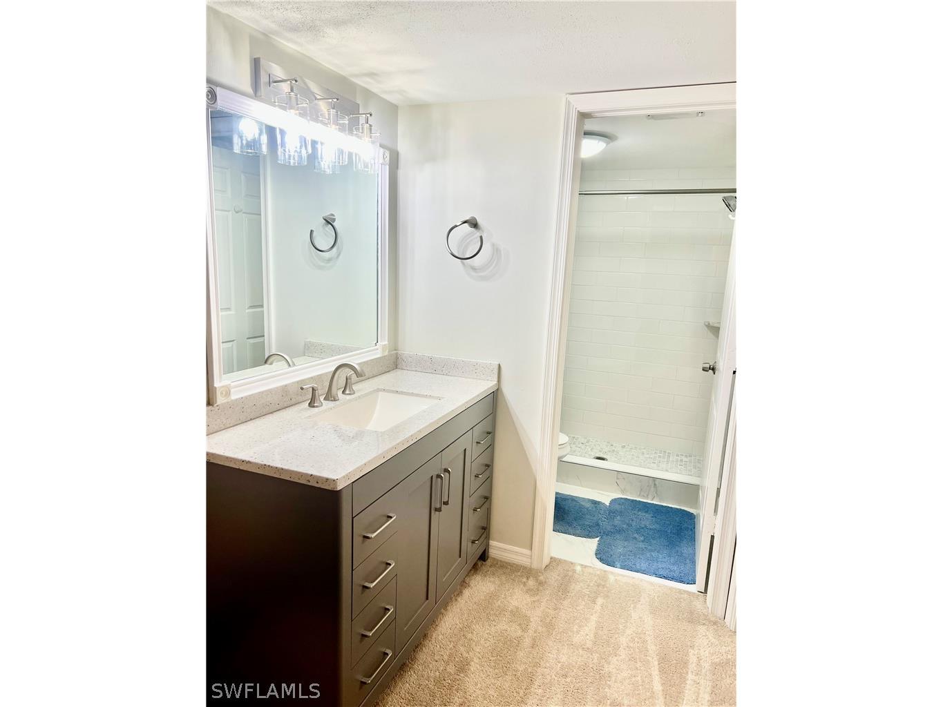 3011 Sandpiper Bay Circle #C102 Naples FL 34112 226008380 image10