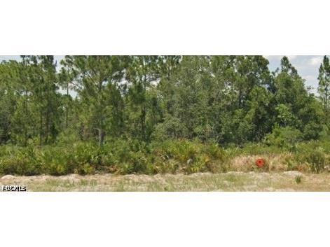 3011 W Dixon Road Avon Park FL 33825 2026023813 image1