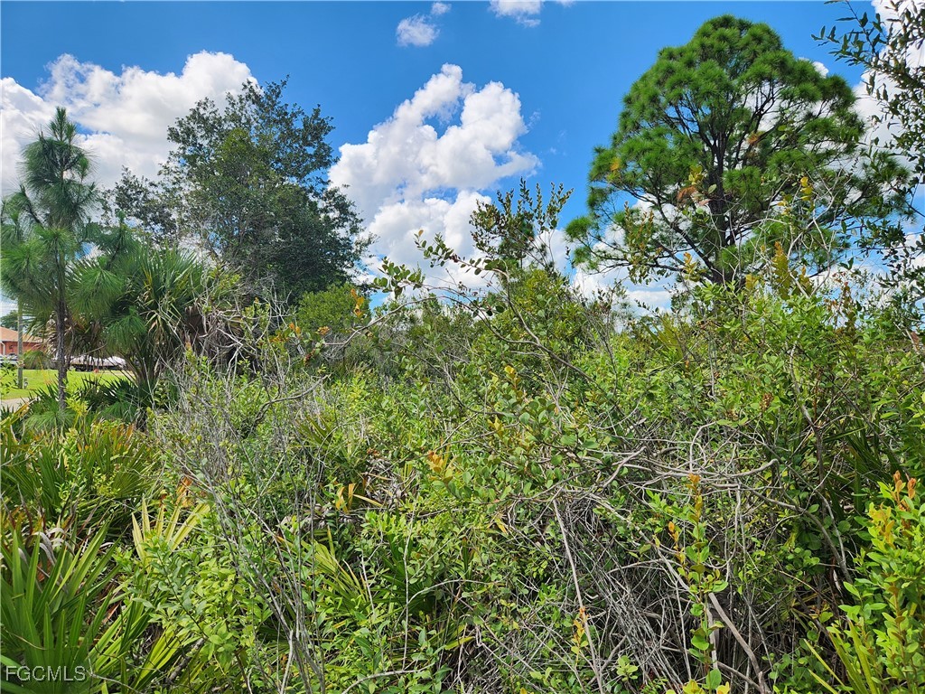 3012 42nd Street W Lehigh Acres FL 33971 2025016135 image2