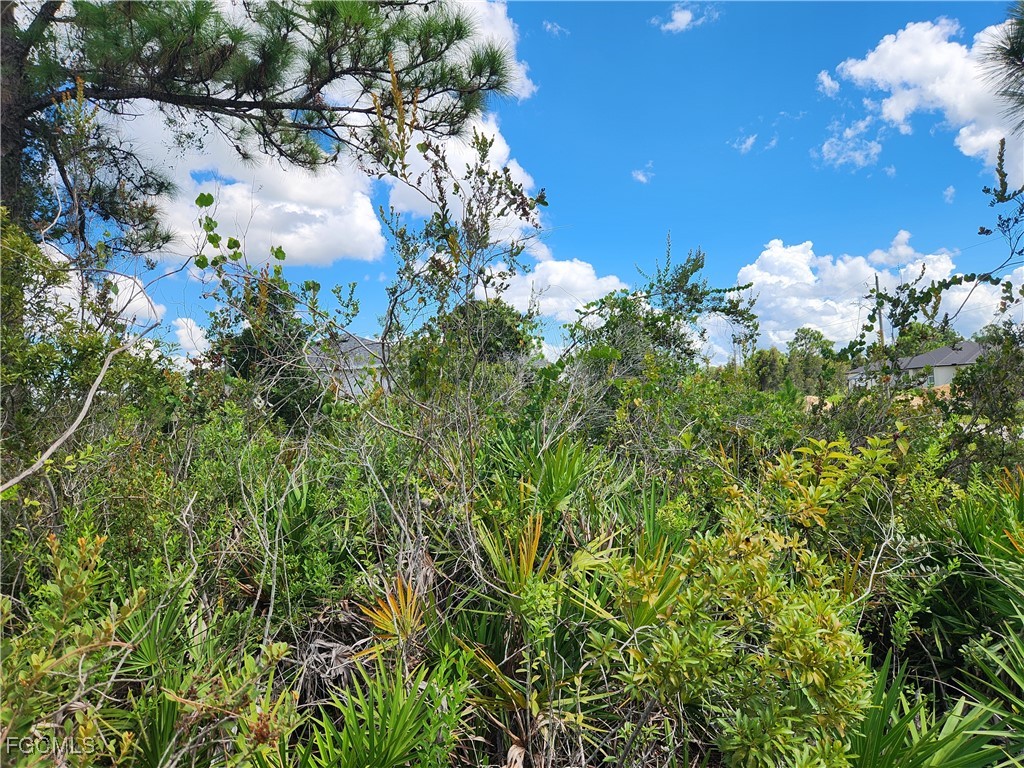 3012 42nd Street W Lehigh Acres FL 33971 2025016135 image3