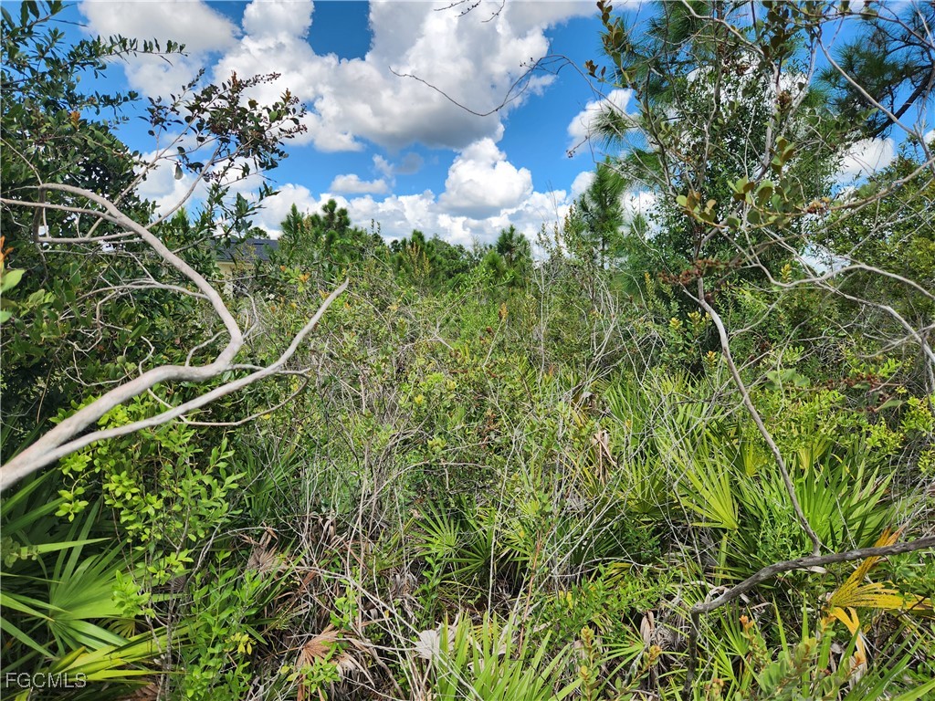 3012 42nd Street W Lehigh Acres FL 33971 2025016135 image4