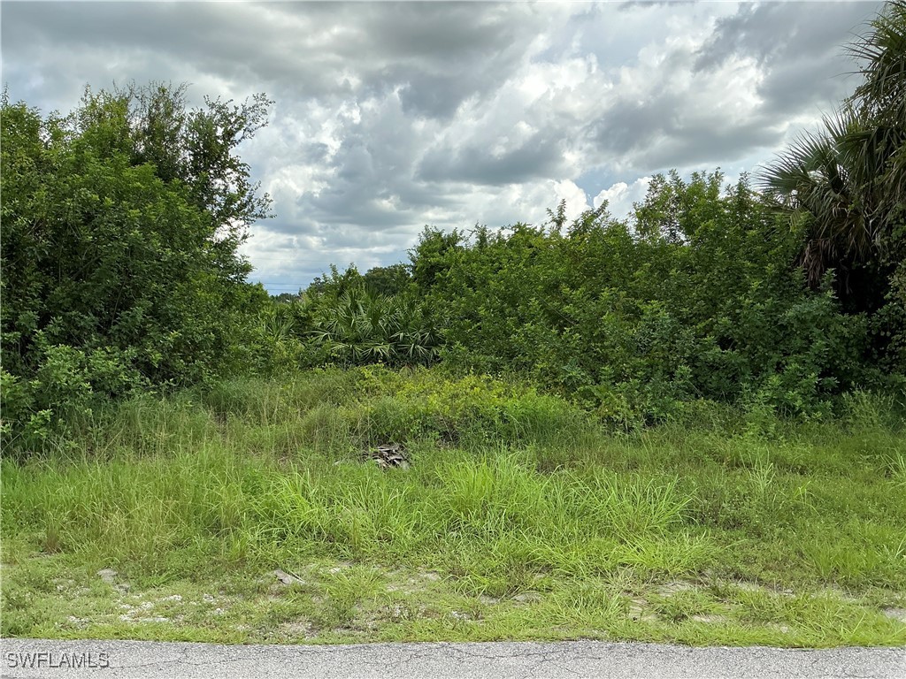 3013 2nd Street SW Lehigh Acres FL 33976 224065493 image1