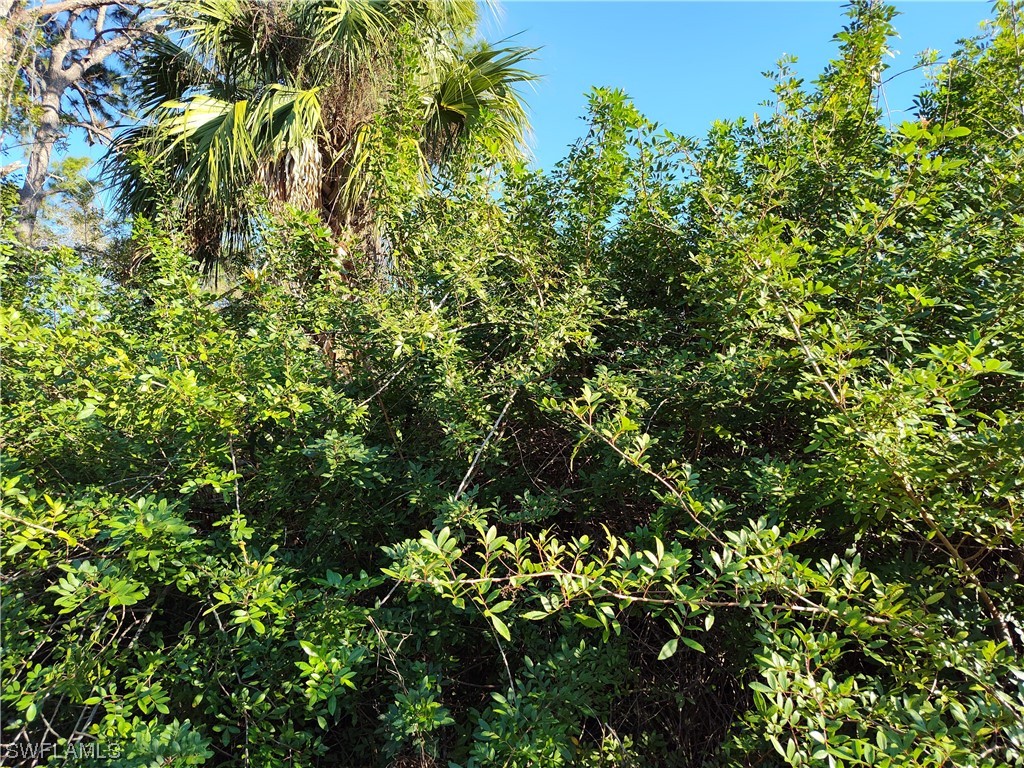 3013 33rd Street W Lehigh Acres FL 33971 224017323 image1