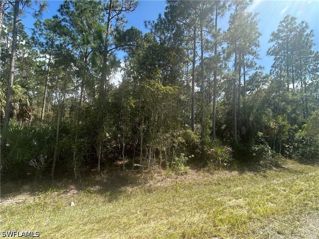 3013 50th Street W Lehigh Acres FL 33971 226027195 image2