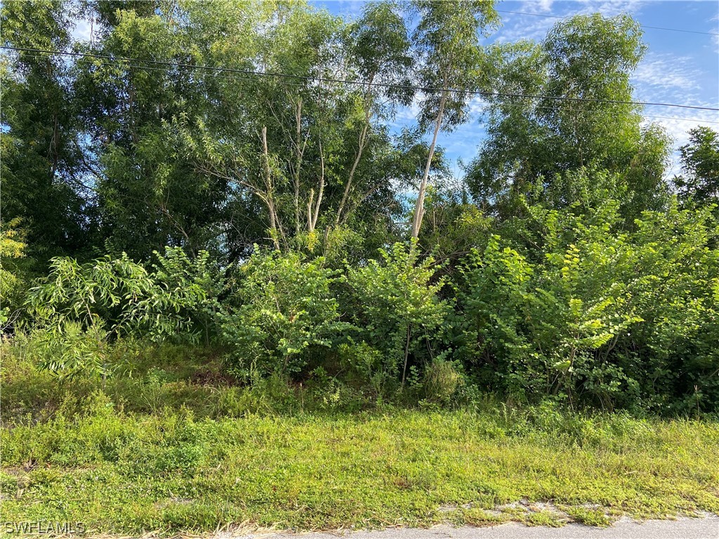 3014 6th Street W Lehigh Acres FL 33971 223064383 image1