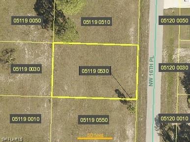 3014 NW 16th Place Cape Coral FL 33993 222062110 image1