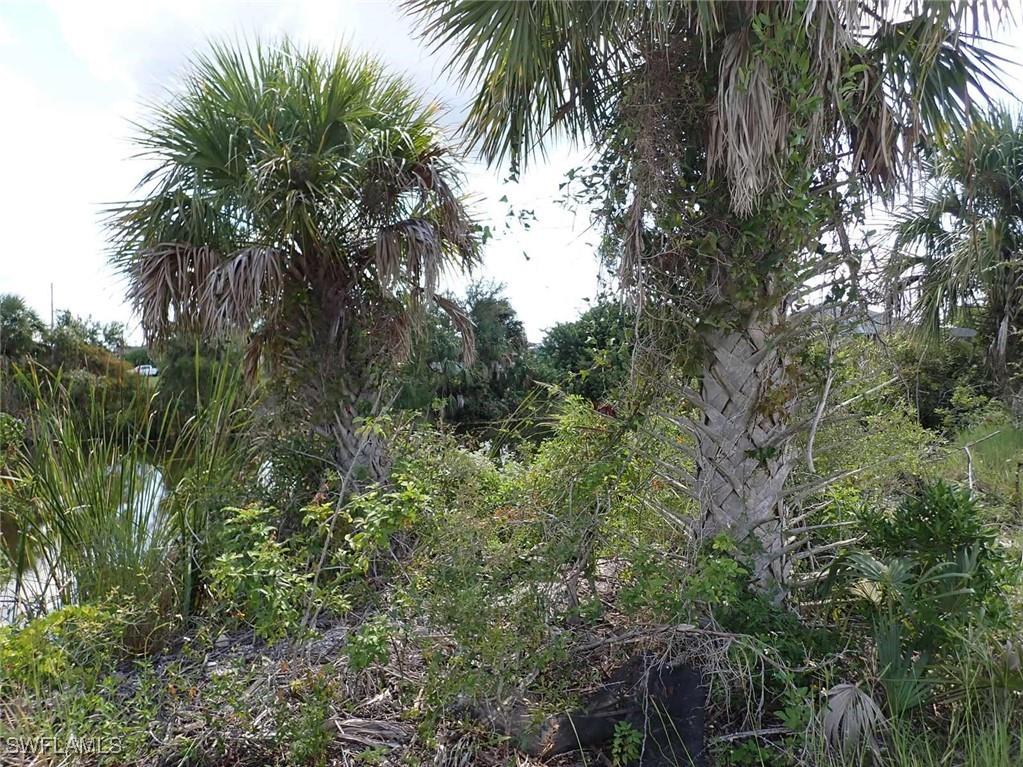 3018 Van Buren Parkway Cape Coral FL 33993 226004016 image4