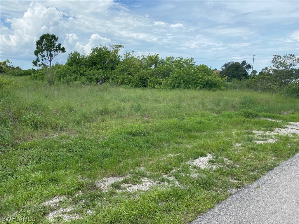3019 29th Street SW Lehigh Acres FL 33976 223052657 image1