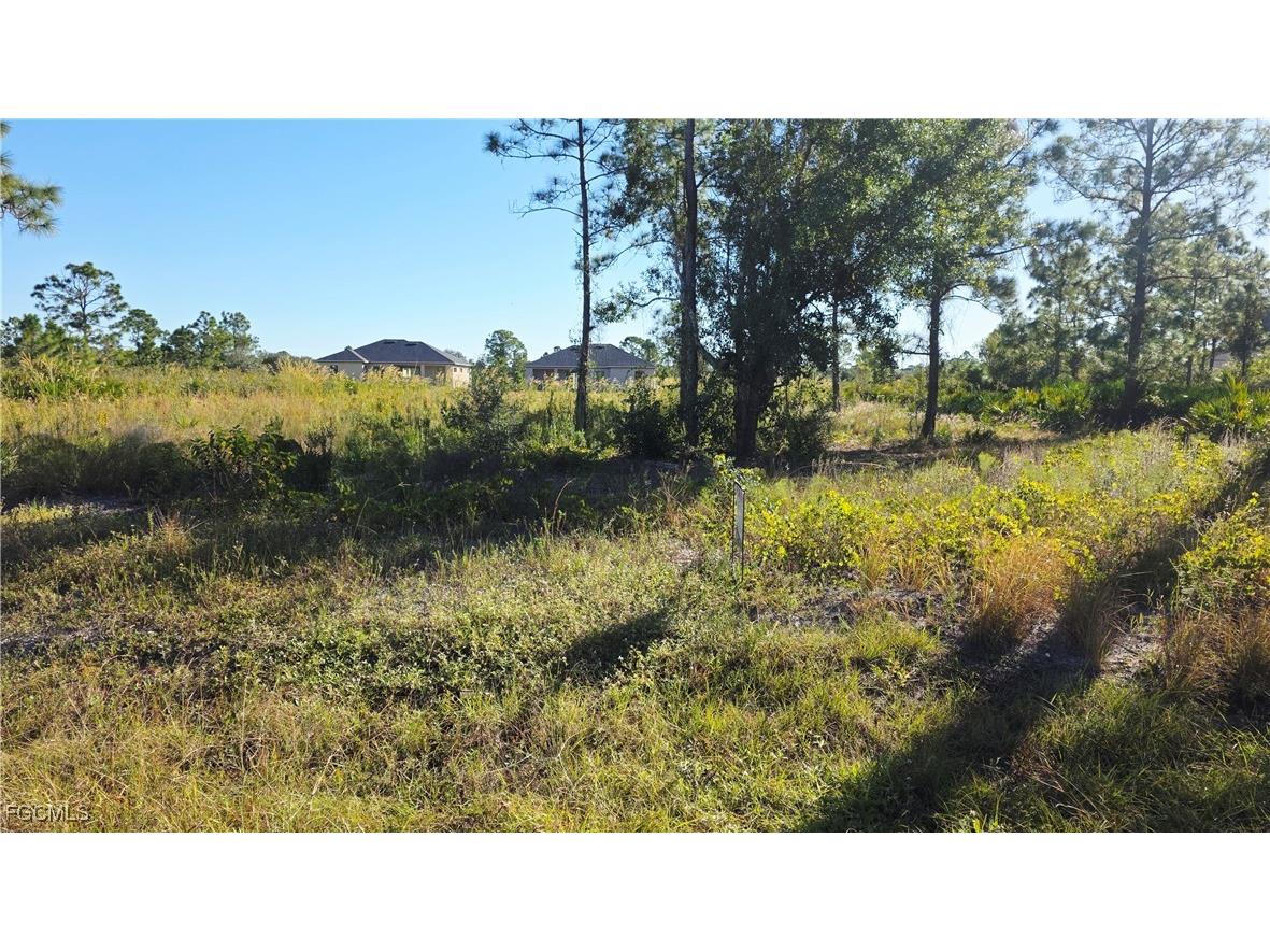 302 Moore Avenue Lehigh Acres FL 33936 2025020161 image1