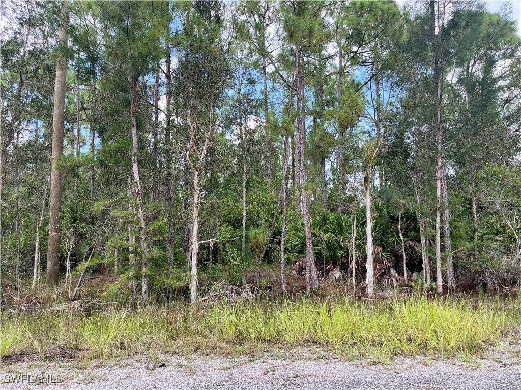 302 Rosanna Avenue Lehigh Acres FL 33972 224075332 image1