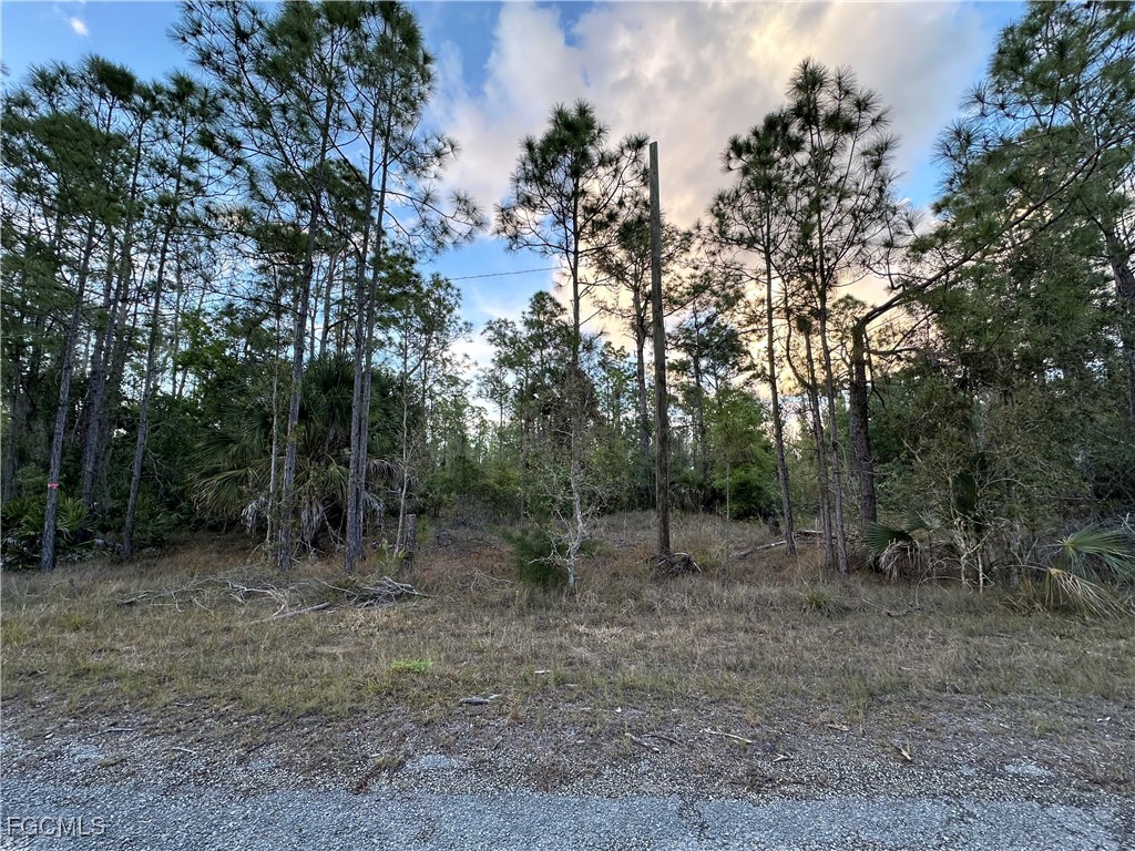302 Spokane Avenue Lehigh Acres FL 33972 2025013491 image1