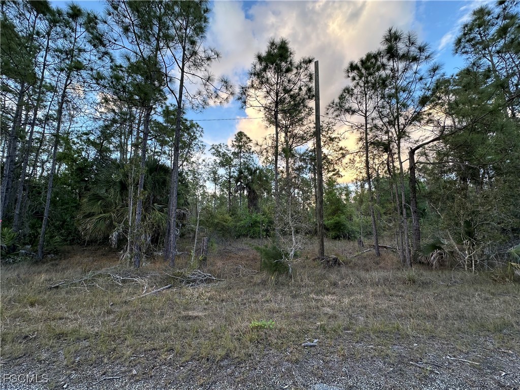 302 Spokane Avenue Lehigh Acres FL 33972 2025013491 image4