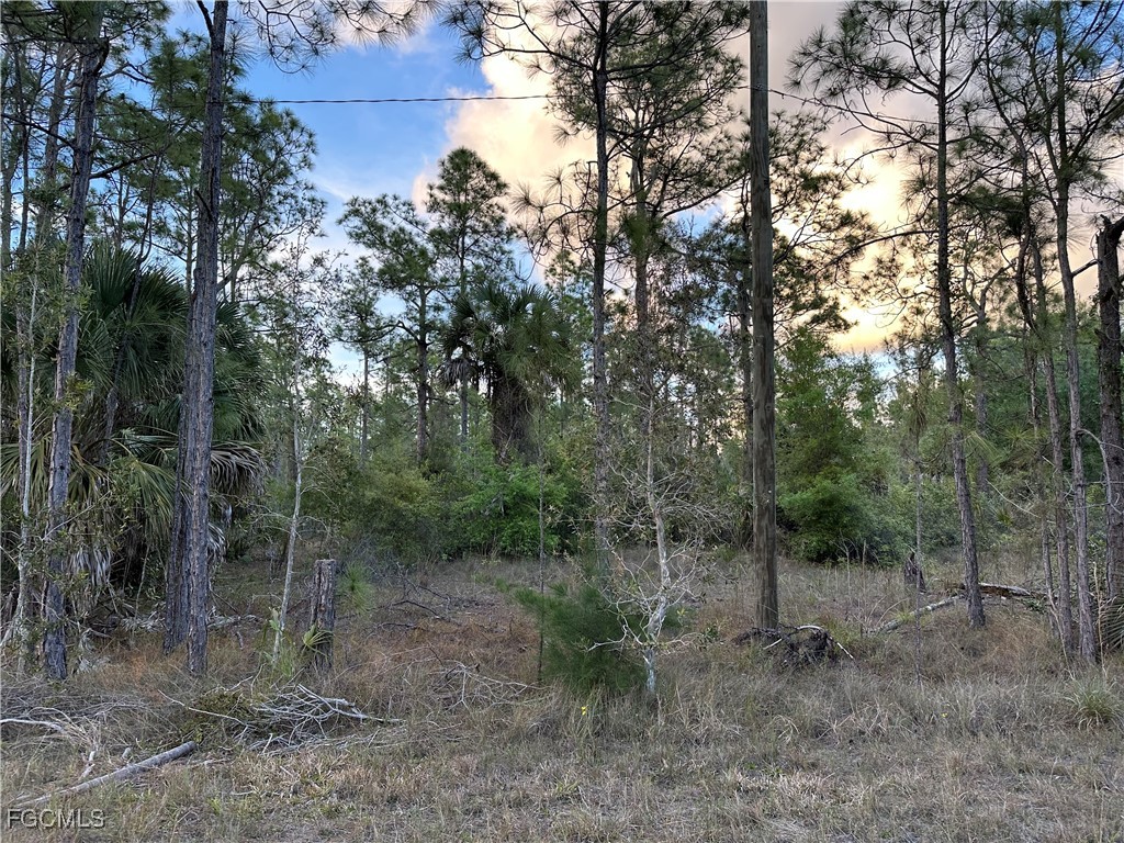 302 Spokane Avenue Lehigh Acres FL 33972 2025013491 image5