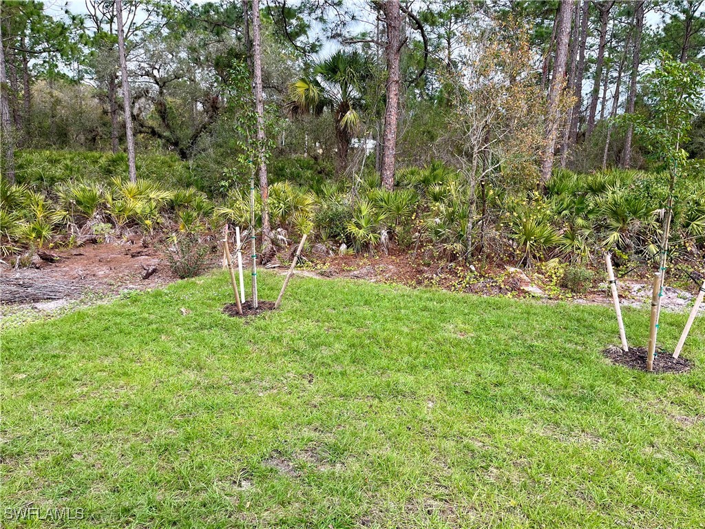 3020 N Lakewood Road Labelle FL 33935 225076397 image16